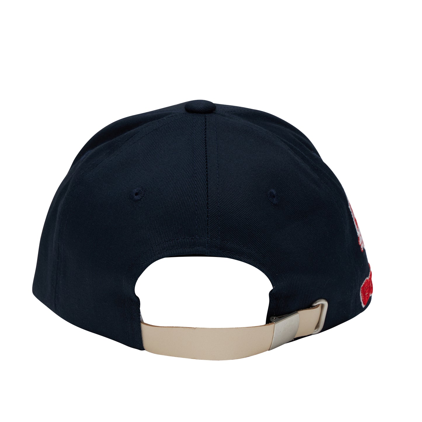 STOPSNITCH CAP